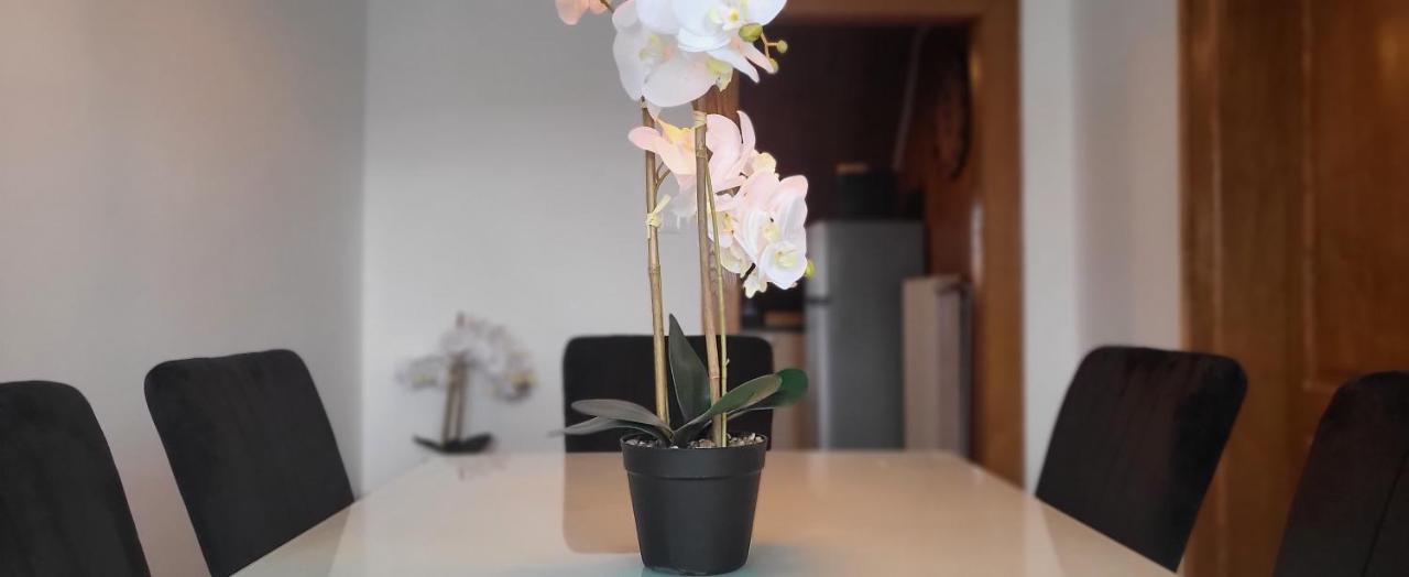 Appart Bois De Reve Spa Algolsheim 外观 照片